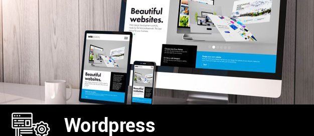 Museo de Navarra WP Básico